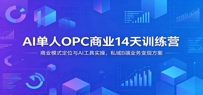 AI单人OPC商业14天训练营：商业模式定位与AI工具实操，私域B端业务变现方案